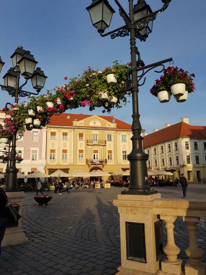 Apartament Baroc Timisoara Esterno foto